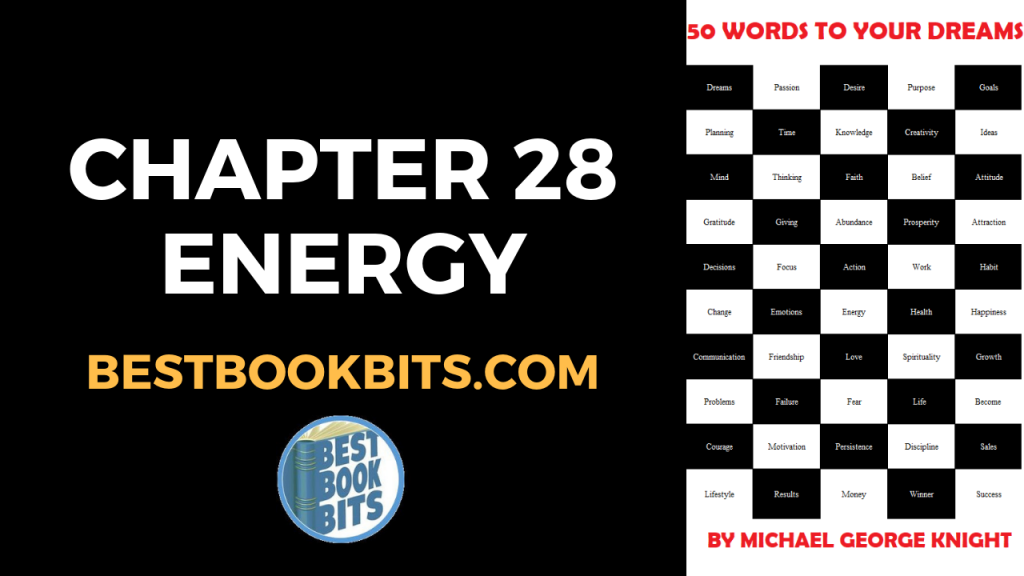 CHAPTER 28 ENERGY